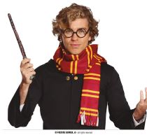 Sada kouzelník - čaroděj Harry - šála a brýle - 2 ks - Dekorace